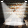 Essential Leadership Behaviors Develop Your Team - Managing for Performance